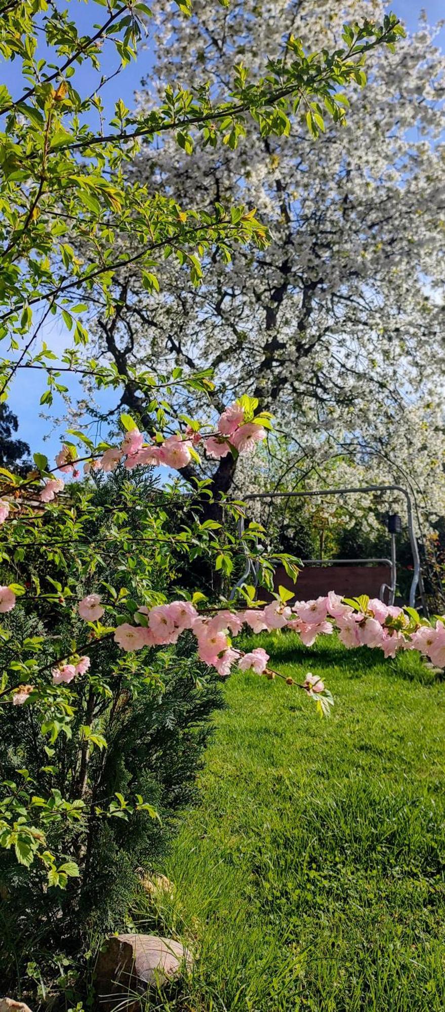 Ubytovani Sarka Čistá Exterior foto